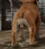 1721919073189.png