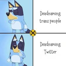 1724119498514.jpeg
