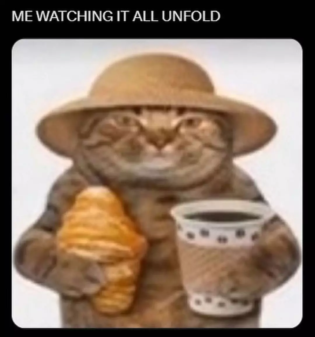 1729799097977008.webp