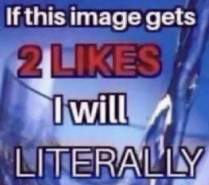 1733765984195.jpeg
