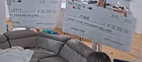 1733859851482.png