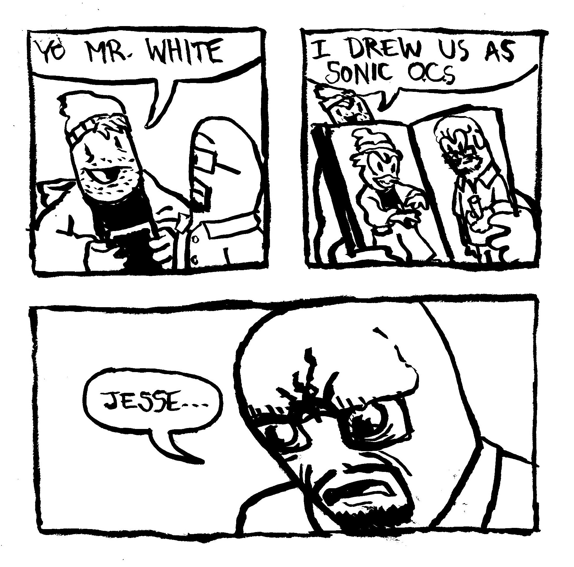 1734613390687.jpeg