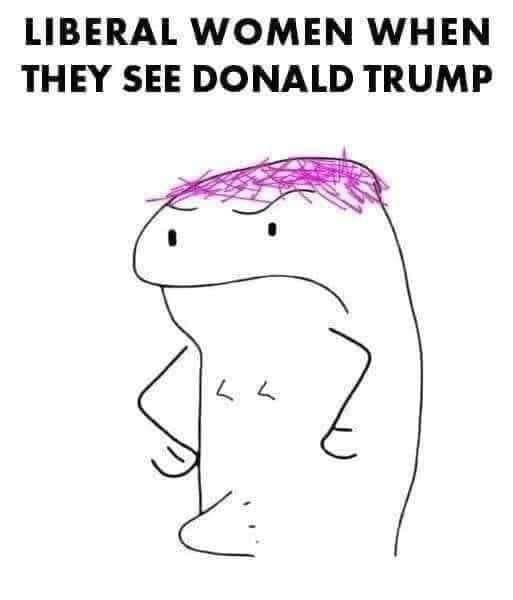 1735013464967.png