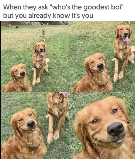 1737981894067.png
