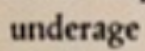 1738983372017.png