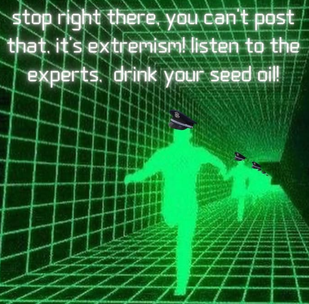 1740425498263.png