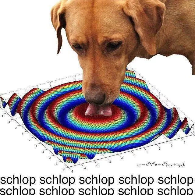 1740593188754593.webp
