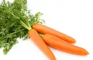 Carrots | Love Food Hate Waste