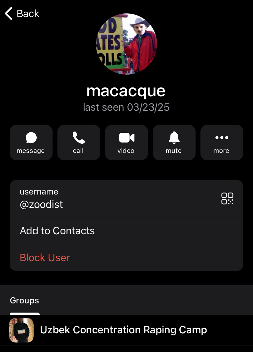 1743265799238.png
