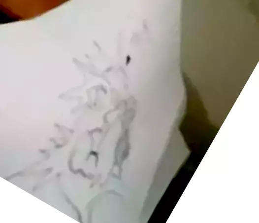 1744654734446.webp