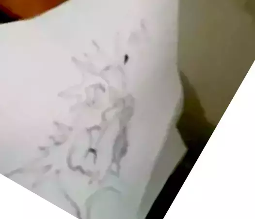 1744655082487.webp