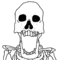 1744829560240.webp