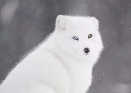1744873093756.webp