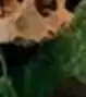 1745229550230.webp