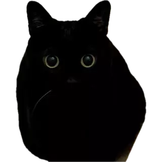 1745718343077.webp
