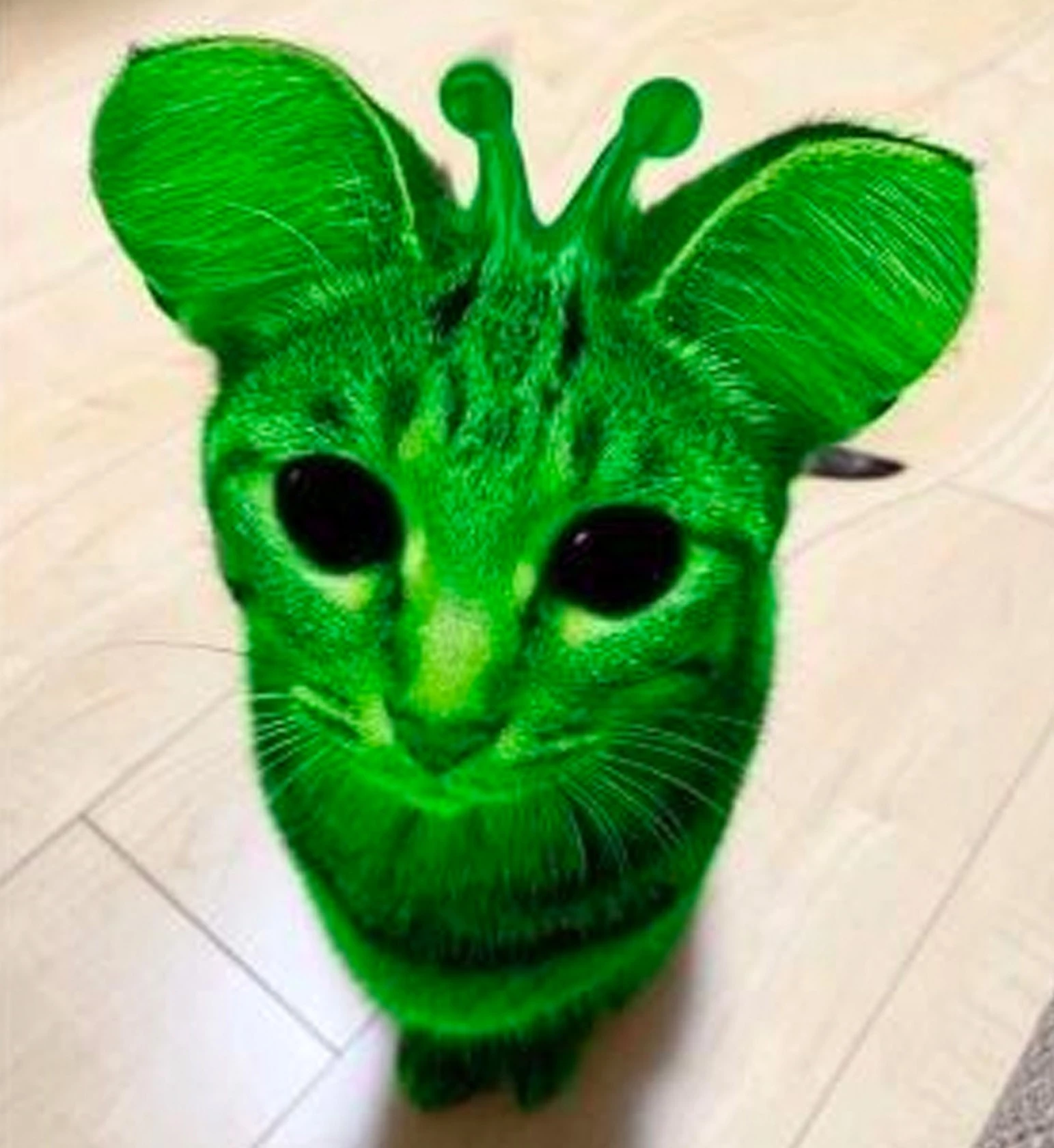 1746440806281361.webp