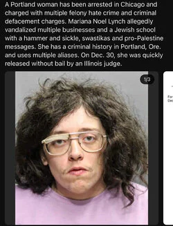 1747249068008.webp