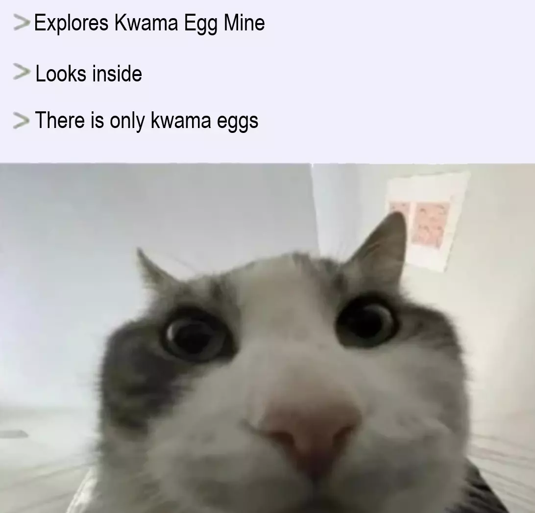 1747492190863.webp