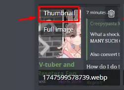 1747599750231.webp