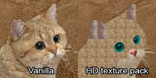 1747651955021.webp