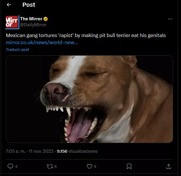 1748238140254.webp