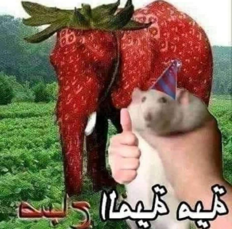 1749265480447859.webp