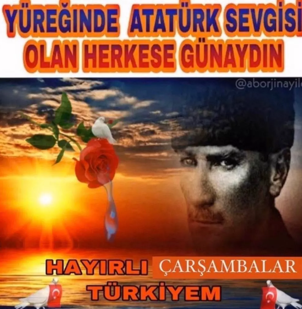 1749650930809.webp