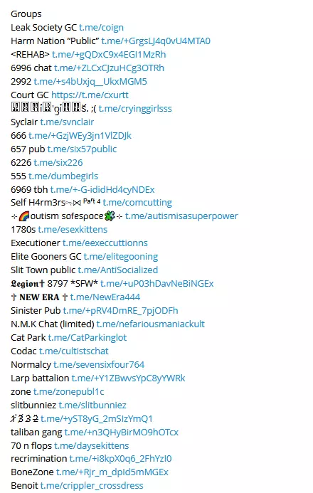 1750432858954.webp