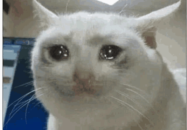 1751392915487.gif