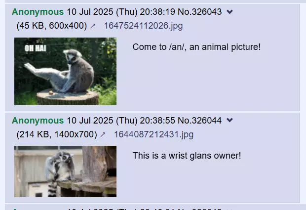 The only two posts remaining