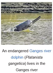 1752685187997.webp