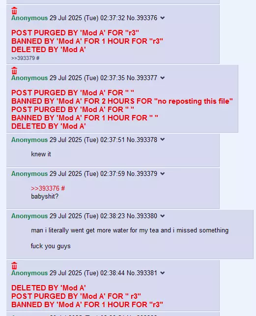 1753919406425.webp