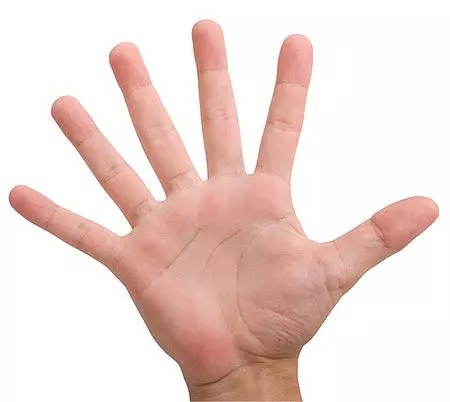 1757172145893.webp