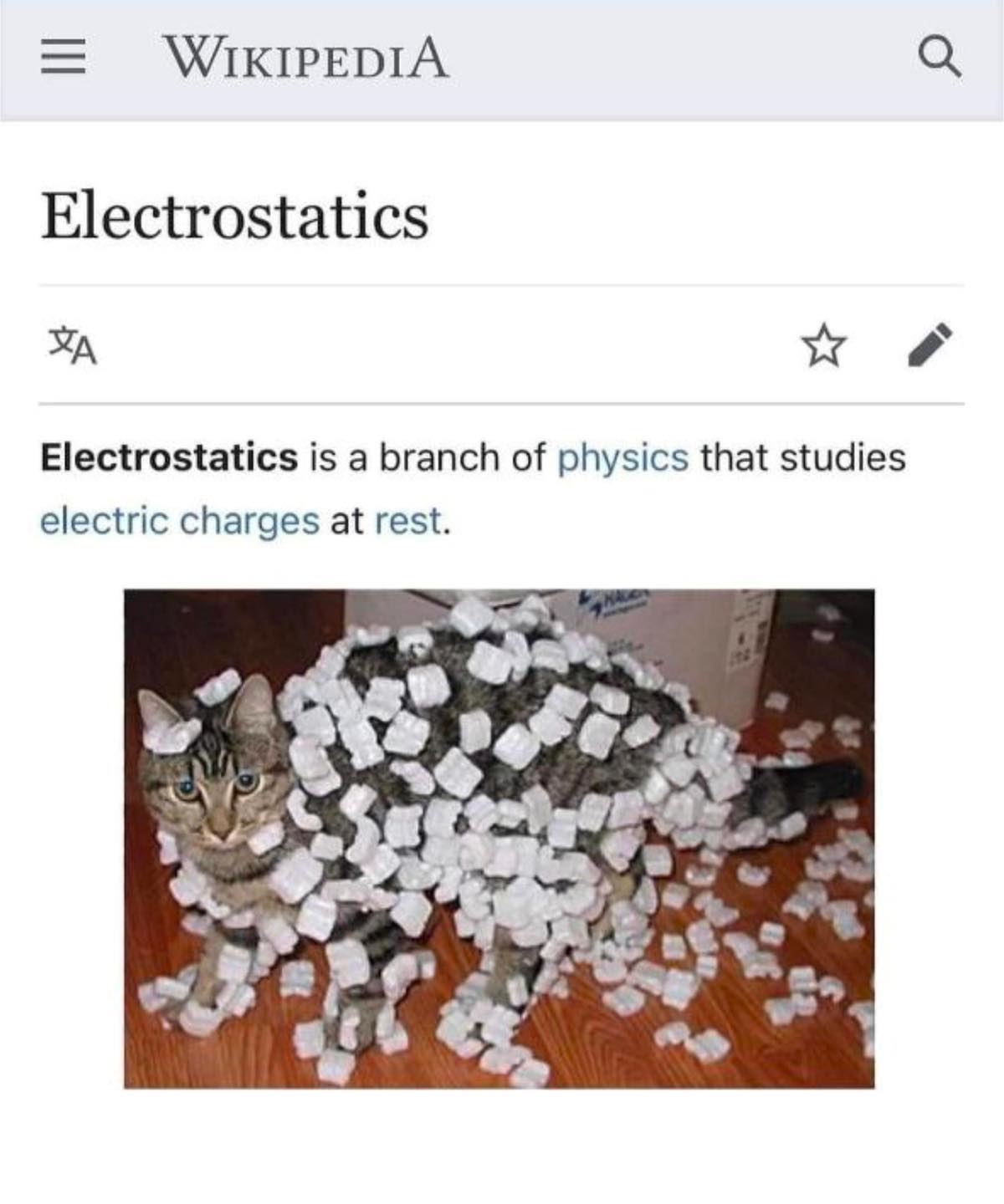 1759682117310.jpeg