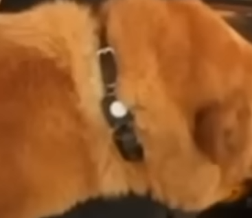 1759913421099.png