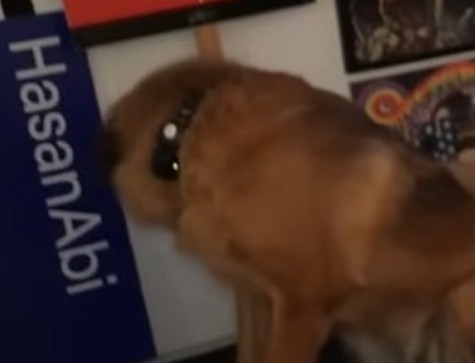 1759936426442.png