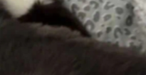 1759936603416.png