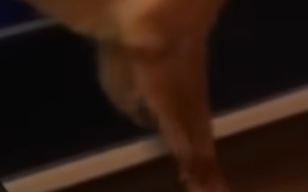 1759956629764.png