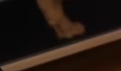 1759956708994.png