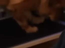 1759956946488.png
