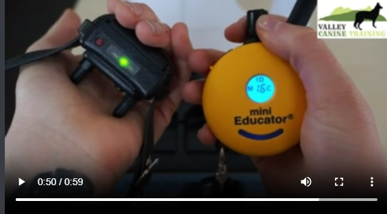 1759993916376.png