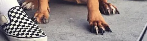 1760987135207.png