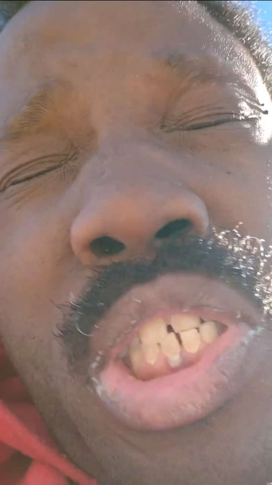1770162348043.png