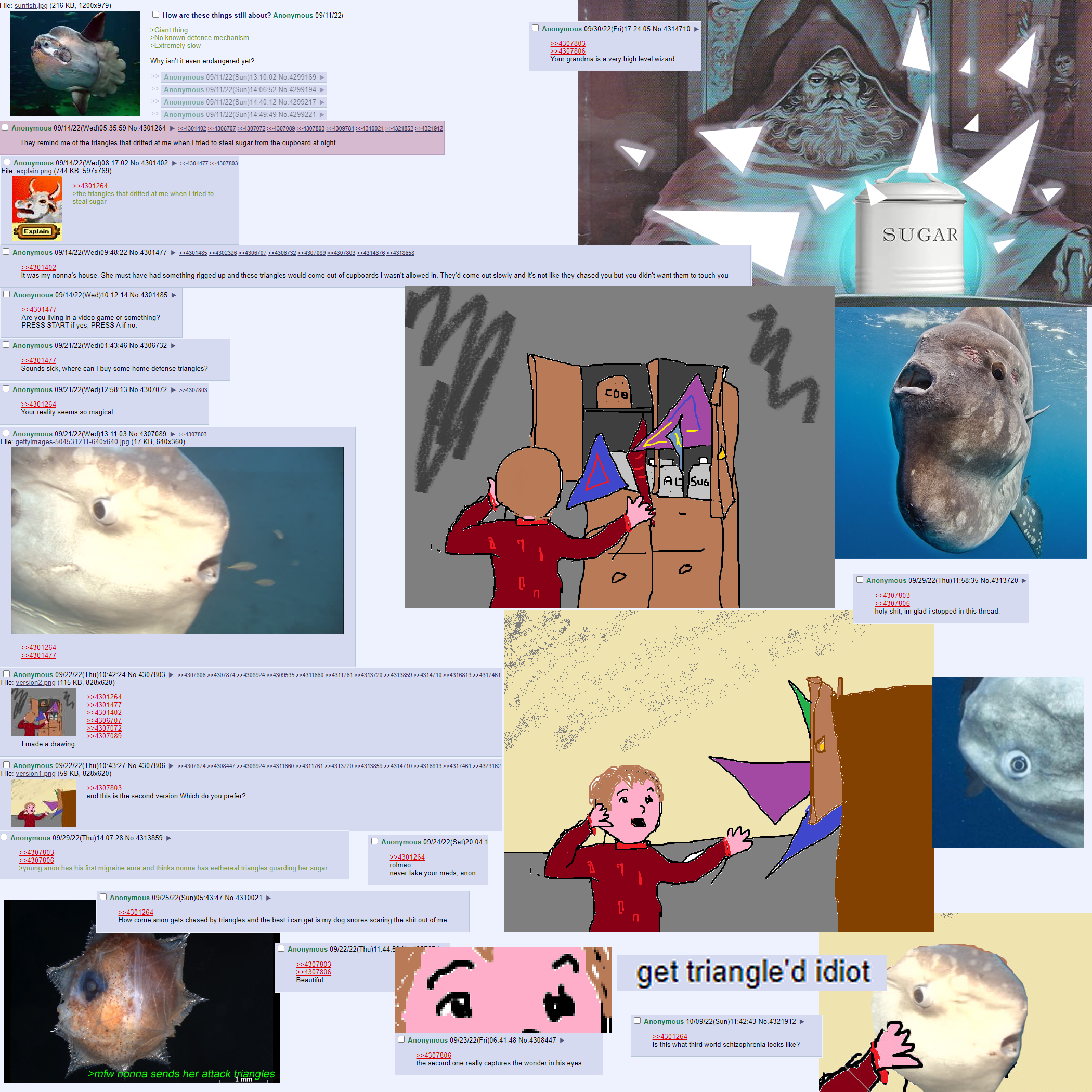 1771806682624.webp