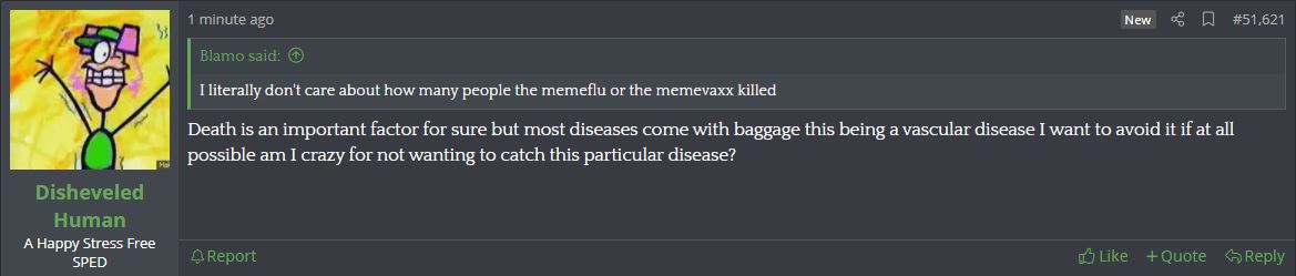20.JPG