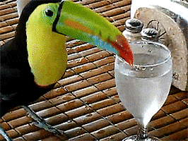 200.gif