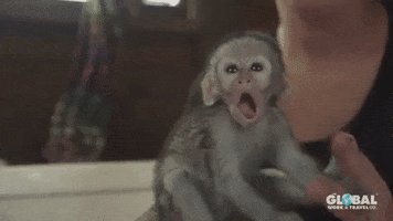 200.gif