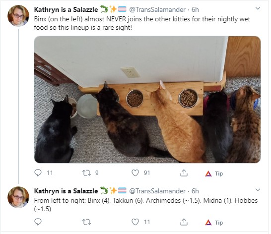 2004cats.jpg