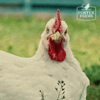 200w.gif