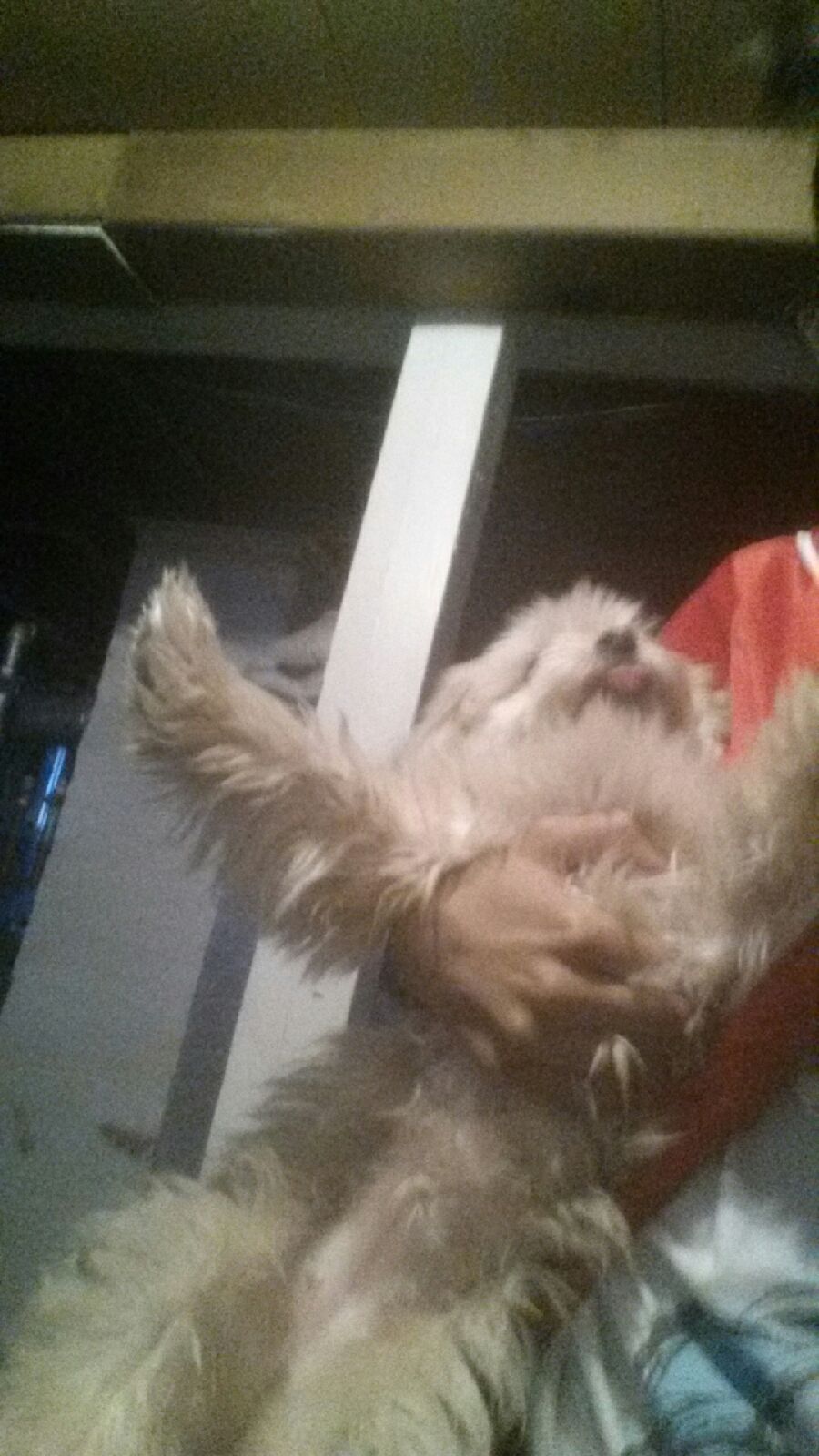 20160116_134804.jpg
